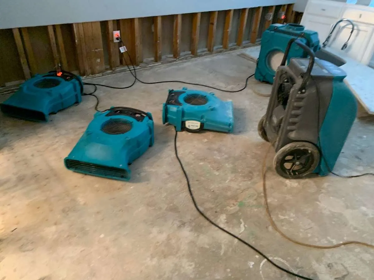Water Damage Assessment in Eloy, AZ